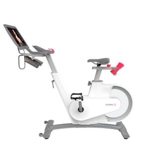 Купить Велотренажер Yesoul BV1-W PLUS в Сызрани 